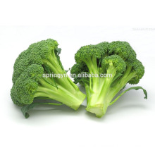 brands broccoli factory price broccoli from YUNNAN SPRING